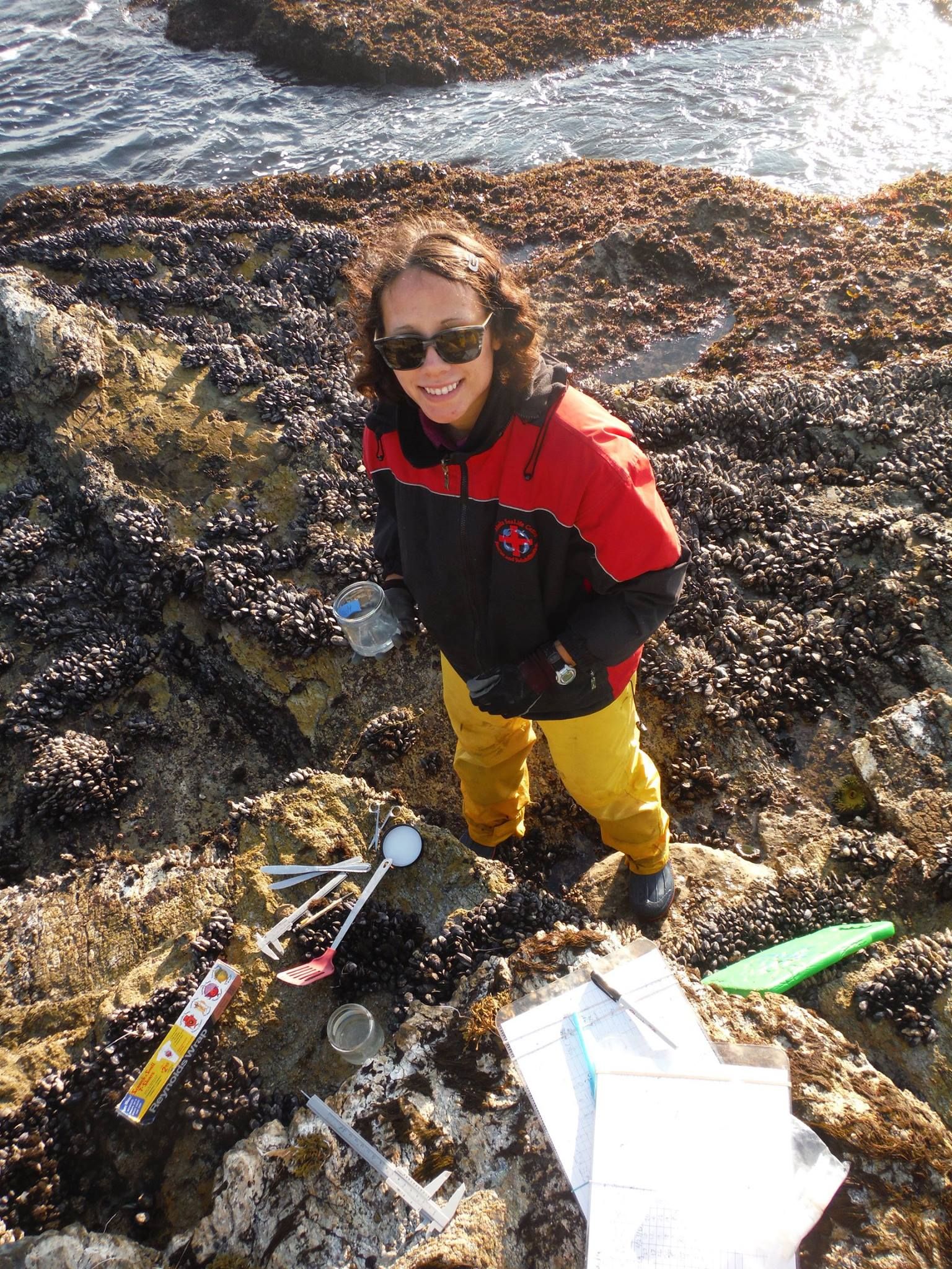 Monica Moritsch conducting intertidal field research on rocky shore, surrounded by equipment and mussel beds